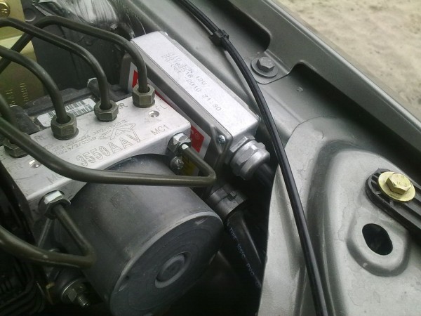 10042010254.jpg