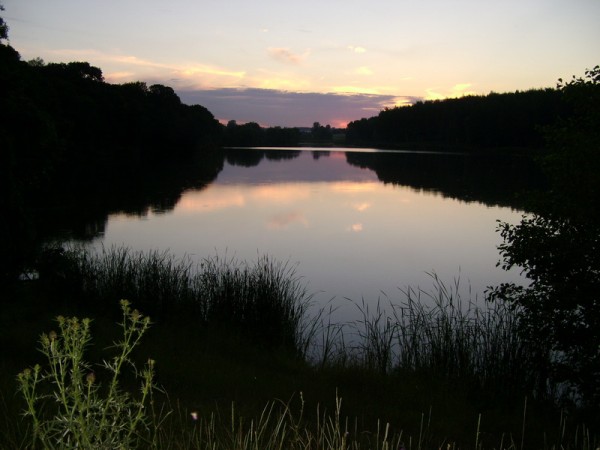DSC00736.JPG