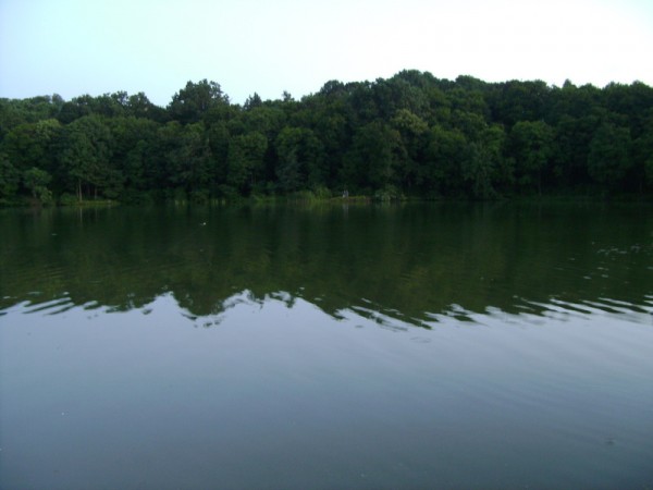 DSC00741.JPG