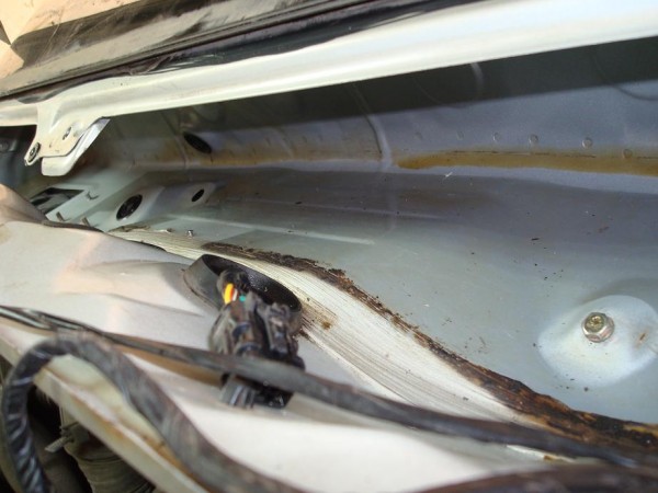 DSC00471.JPG