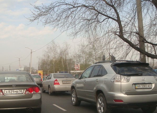 2011 116.jpg