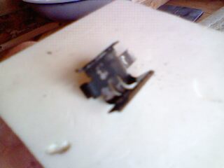 IMG0120A.jpg