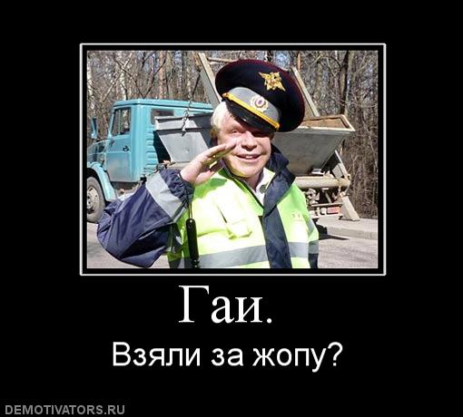 662578_gai.jpg
