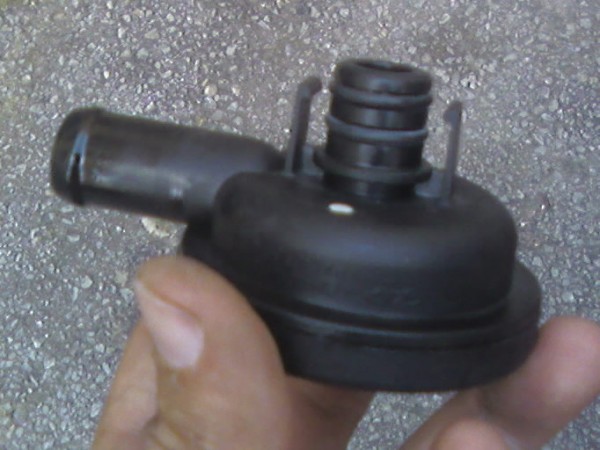 Photo-0001.jpg