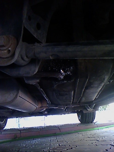 IMG0044A.jpg
