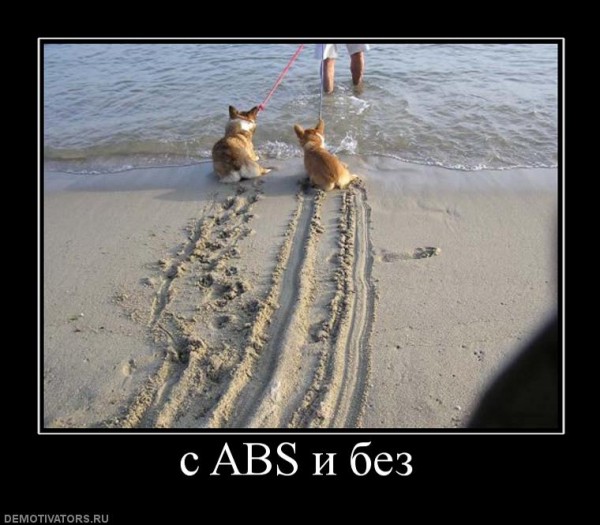 авс.jpg