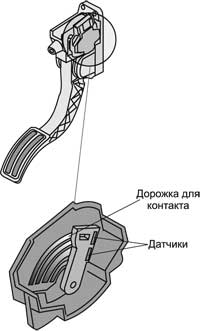 img3.jpg
