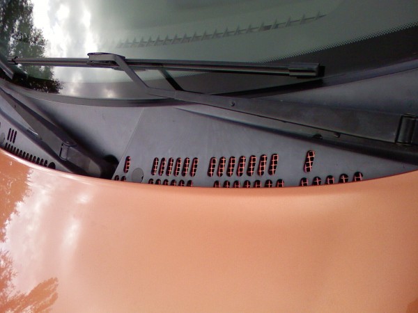 PICt-0185.jpg