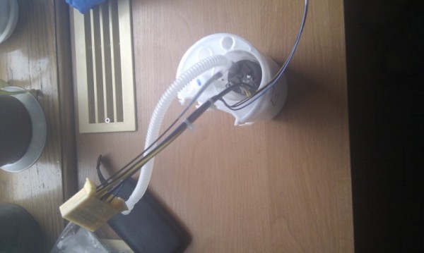 IMAG0098.jpg
