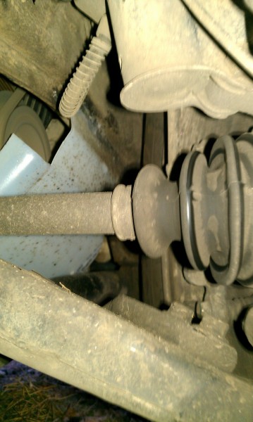 IMAG0125.jpg