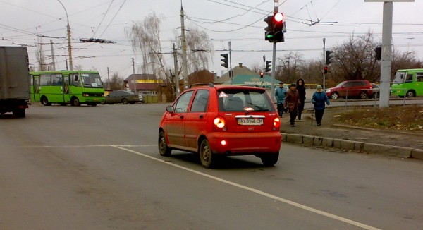 Скромная кукушка.jpg