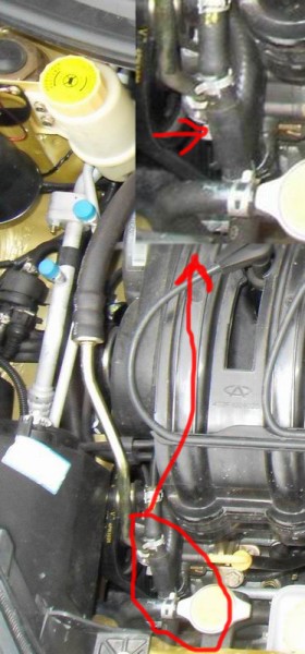 mystery one-way valve.jpg