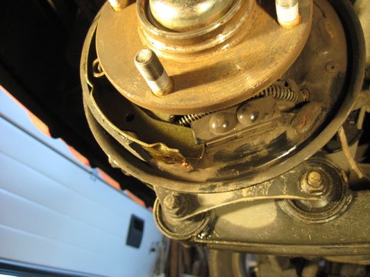 IMG_4166_resize.jpg