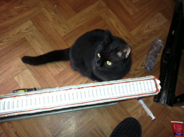 03022012421_1.jpg