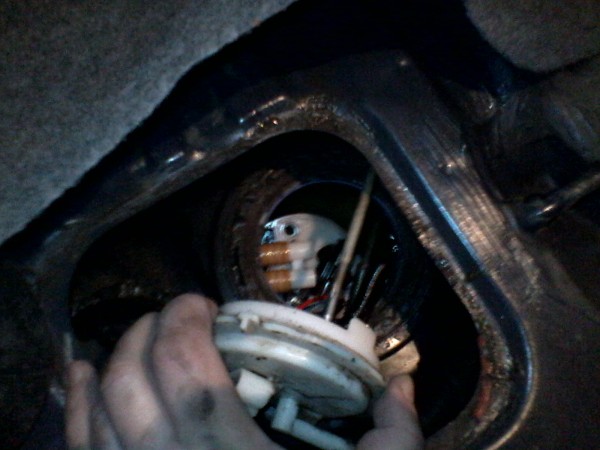 IMG_20120302_203517.jpg