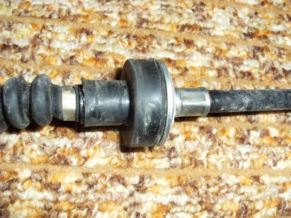 DSCF1482.JPG