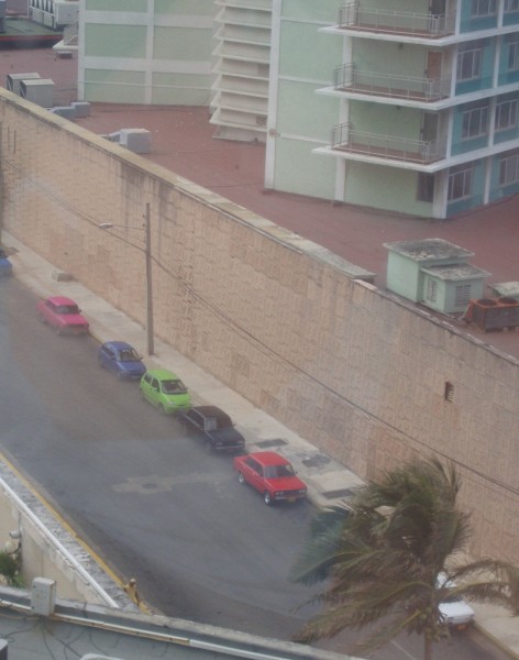 P1010222.JPG