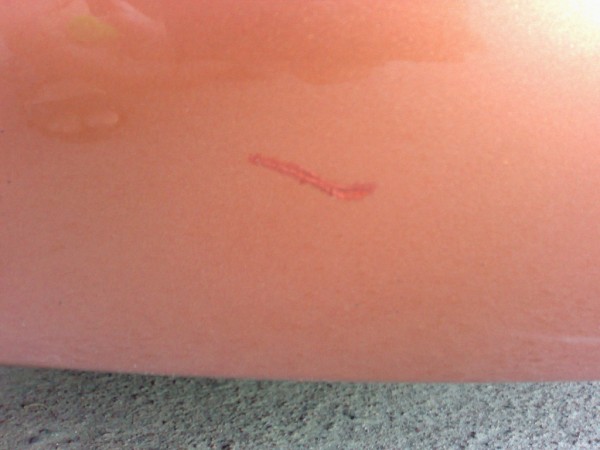 25052012318.jpg