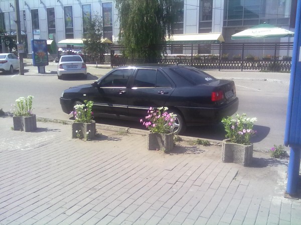 23062012384.jpg