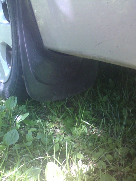IMG_20120617_112940.jpg