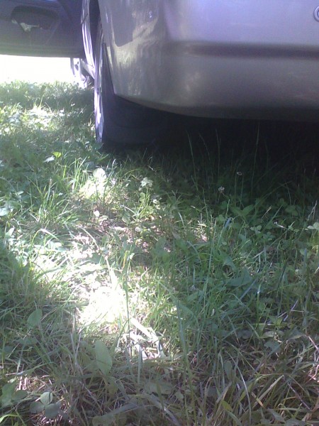 IMG_20120617_113007.jpg