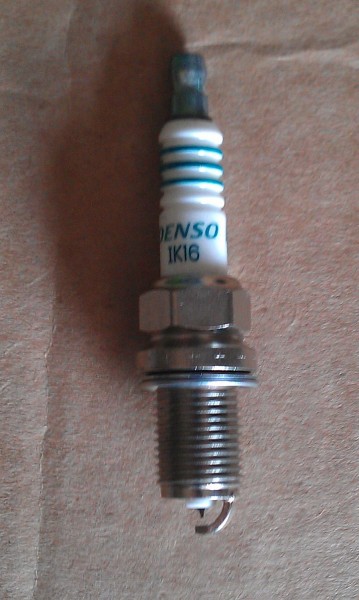 IMAG0203.jpg