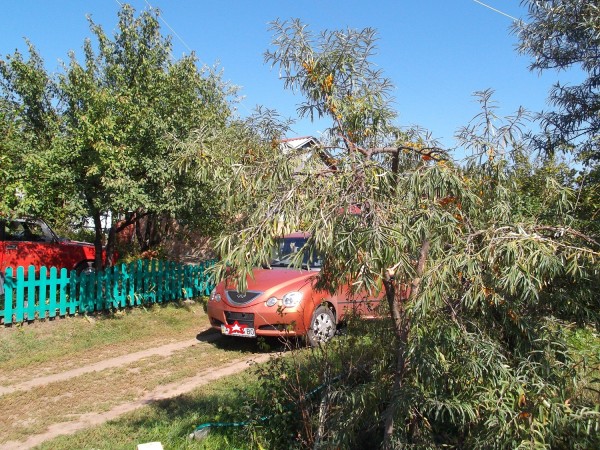 DSCF2067.JPG
