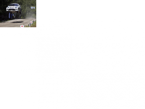 wrc.png