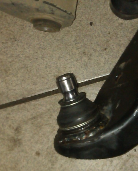 IMAG0029.jpg
