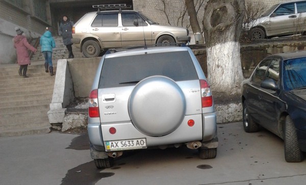 ТИГровичек 2013-02-22 14.48.08.jpg