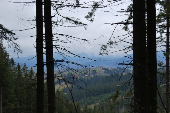 DSC_0187.JPG