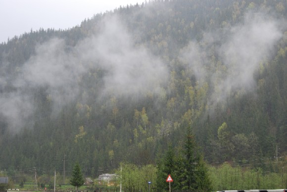 DSC_0470.JPG