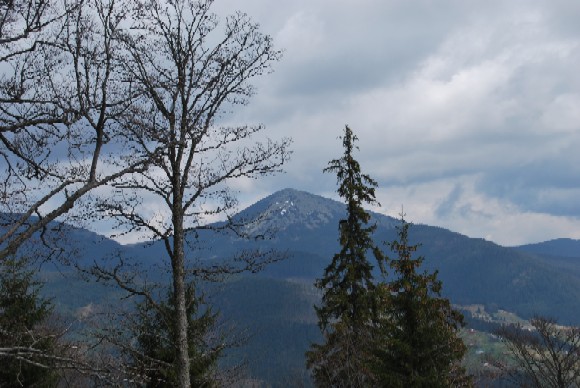 DSC_0272.JPG