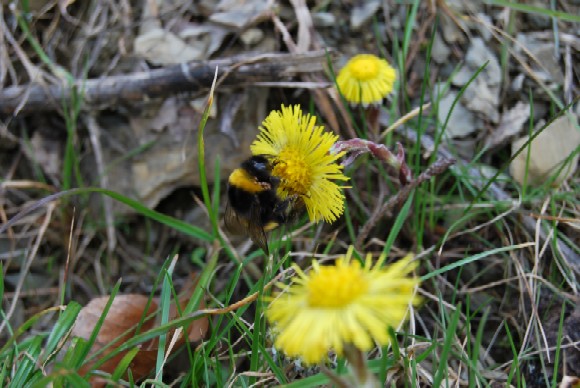 DSC_0296.JPG