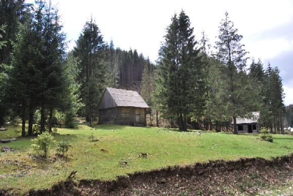 DSC_0332.JPG