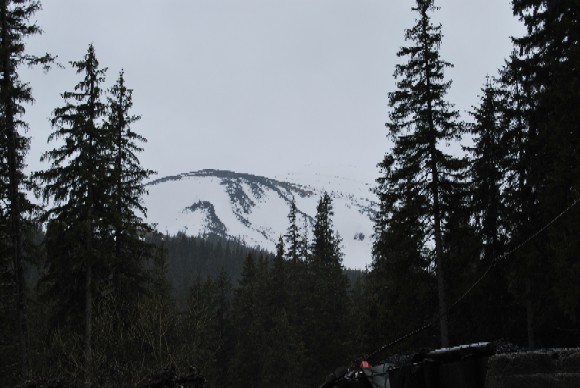DSC_0472.JPG