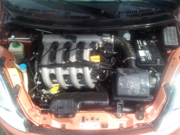 IMG_20130412_124500.jpg