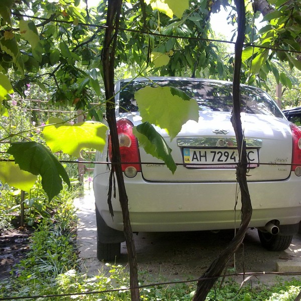 24062013244.jpg