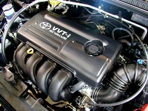 5271640004_large.jpg