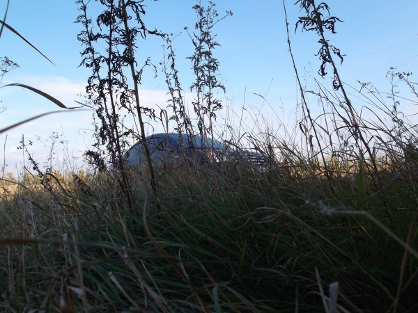 DSCF2513.JPG