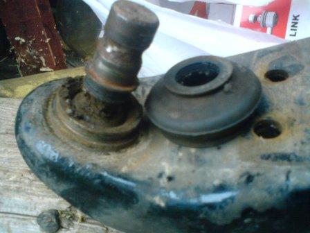 dsc00356_1_158.jpg