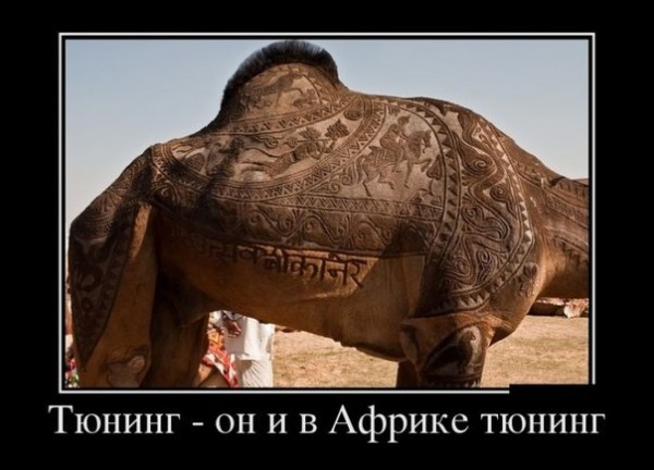 Тюн Афр.jpg