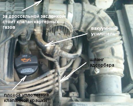 500_6d42_e19e2458_e19e2458.jpg