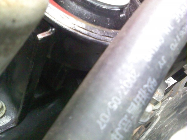 Фото 0675.jpg