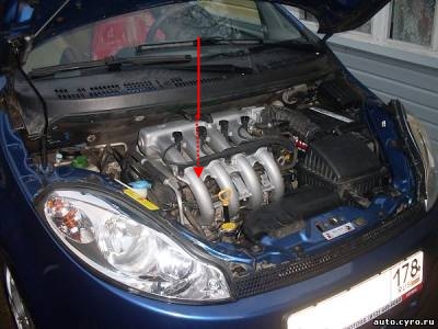 s86798702.jpg