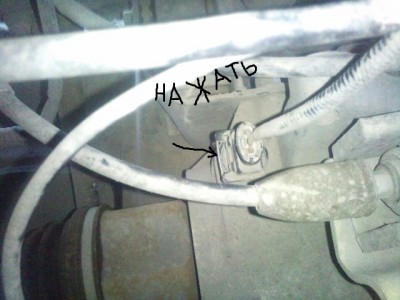 b5424f152451_774.jpg