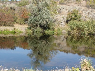 DSC06758.JPG