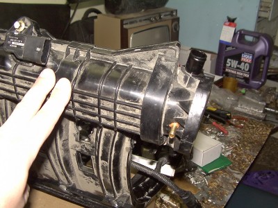 PDRM0870.JPG