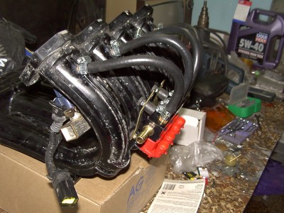pdrm0933.JPG
