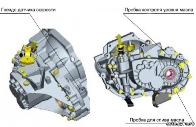 61159039.jpg